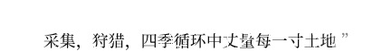 游戏特色