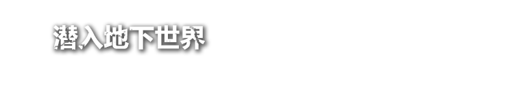 游戏特色