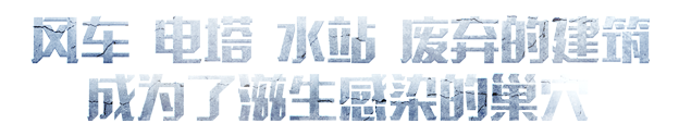 游戏特色